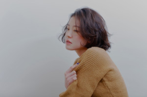 力 style2462 のコピー